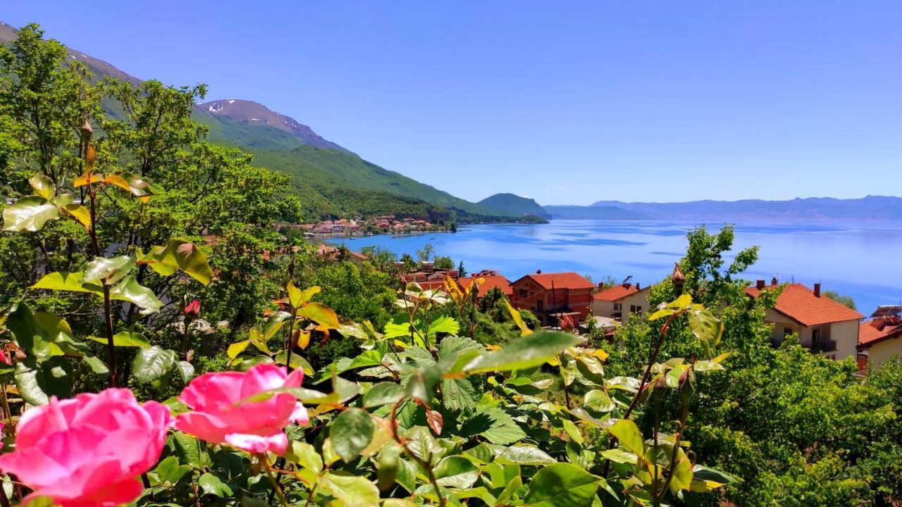 Villa Forest Paradise Охрид Экстерьер фото