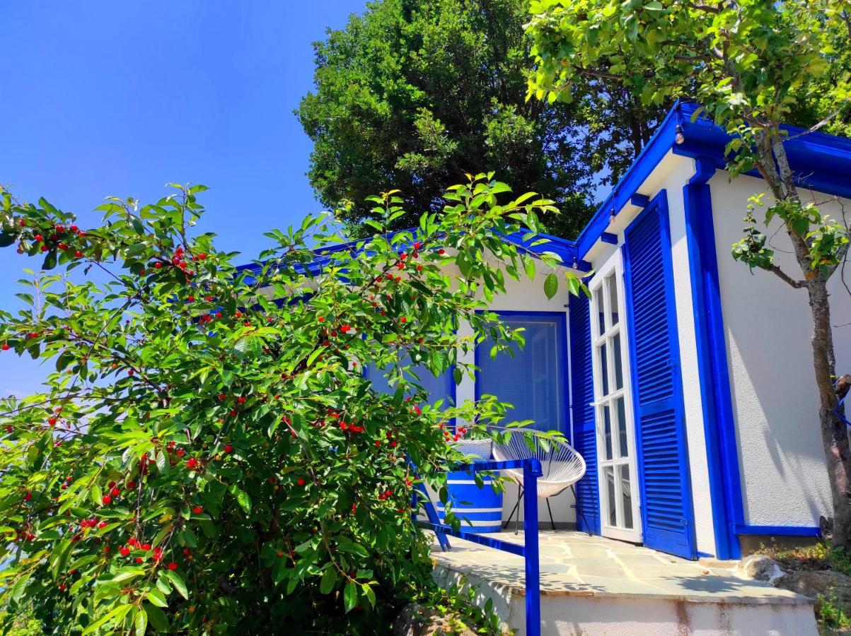 Villa Forest Paradise Охрид Экстерьер фото